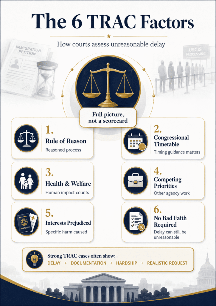 Legal checklist explaining six TRAC factors in an immigration delay lawsuit