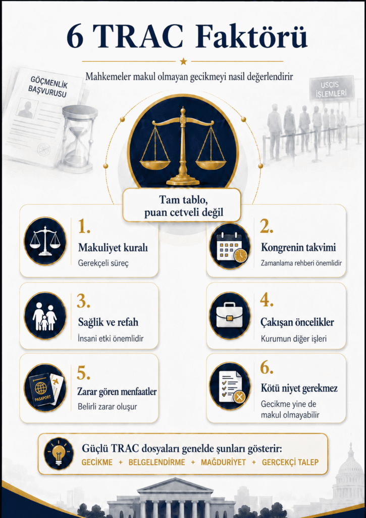 Göçmenlik gecikmesi davasında altı TRAC faktörünü gösteren hukuki kontrol listesi