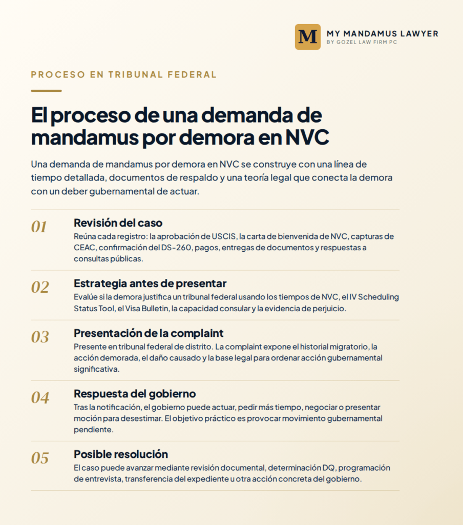 Cronograma que muestra las etapas clave en la evaluación de una demanda por demora en la NVC.