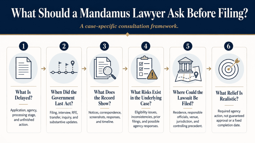 Mandamus consultation framework showing the questions an attorney should ask before recommending a federal lawsuit