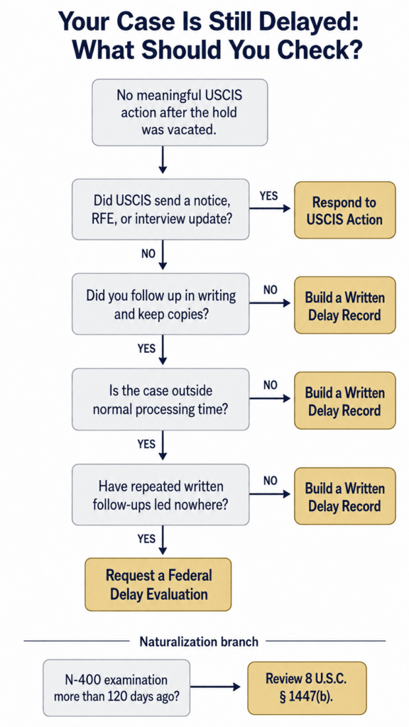 Decision tree for an immigration case that remains delayed after the USCIS 39-country adjudication hold was vacated