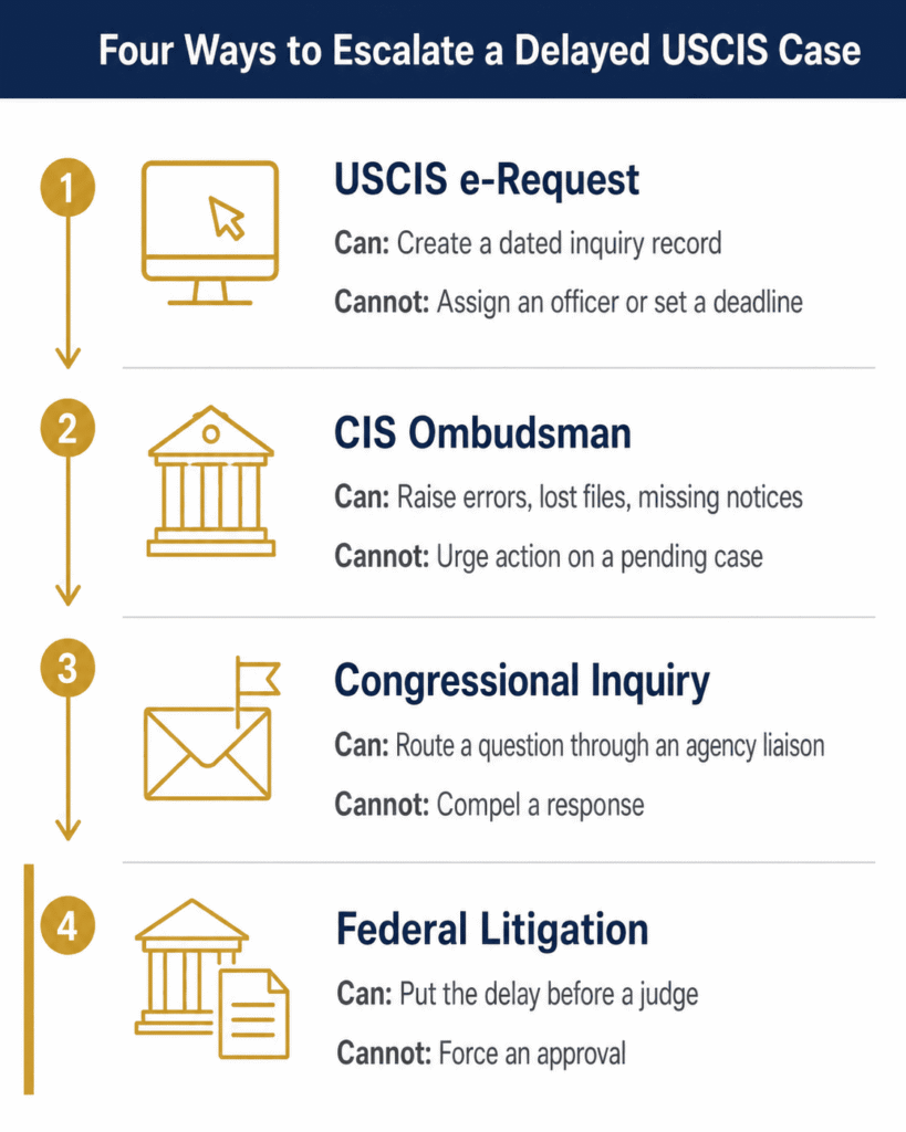 Four escalation options for a delayed USCIS case showing what each one can and cannot do