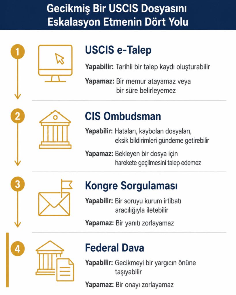 Geciken USCIS dosyası için dört yükseltme seçeneği ve her birinin yapabildikleri ile yapamadıkları