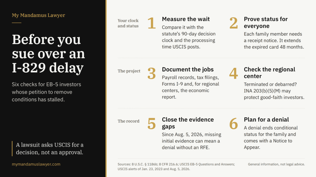 Infographic listing six checks EB-5 investors should make before filing an I-829 delay mandamus lawsuit